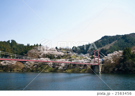 奈良月ヶ瀬　八幡橋 2563456