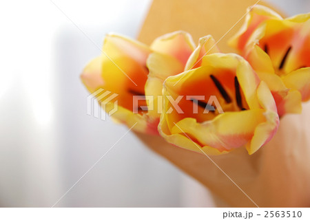 窓際の花束 2563510