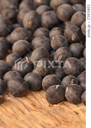 丹波の黒豆 丹波の黒豆 2563802