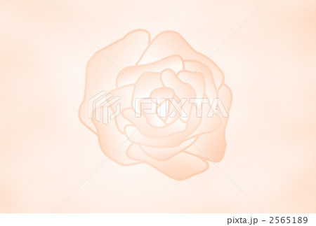 2565189