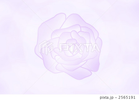 2565191