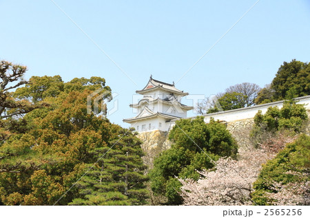 坤櫓（明石城）の桜 2565256