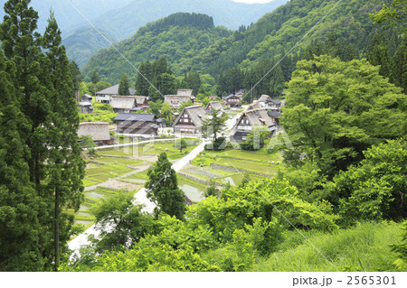 相倉合掌集落 2565301