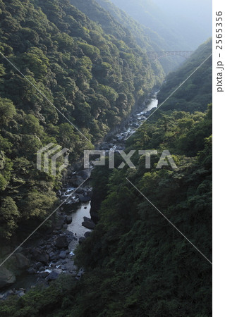 阿蘇北向谷原始林 阿蘇北向谷原始林 2565356