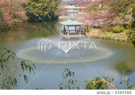 古城公園の噴水1 2565566