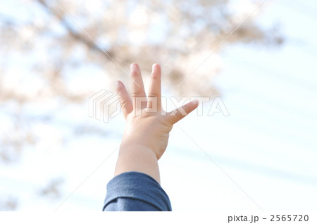 つかもうと伸ばした手 つかもうと伸ばした手 2565720