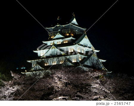 大阪城天守閣と夜桜 大阪城天守閣と夜桜 2565747