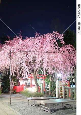 春の水火天満宮 夜景 春の水火天満宮 夜景 2565780
