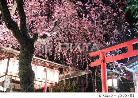 春の水火天満宮　夜景 2565781