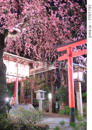 春の水火天満宮 夜景 春の水火天満宮 夜景 2565782