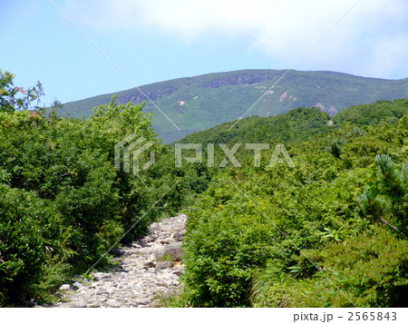 栗駒国定公園 2565843