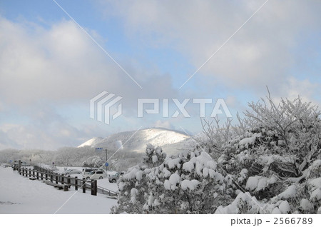 九重・牧ノ戸峠 2566789