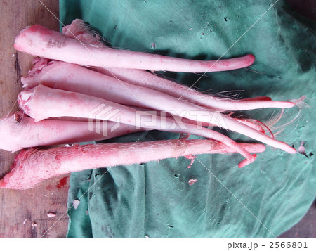 市場で売られるブタの尻尾（サパ／ベトナム） 2566801