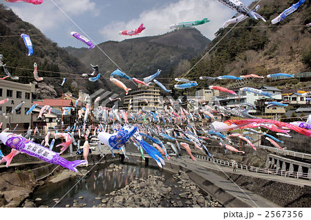 杖立温泉街の鯉のぼり 2567356