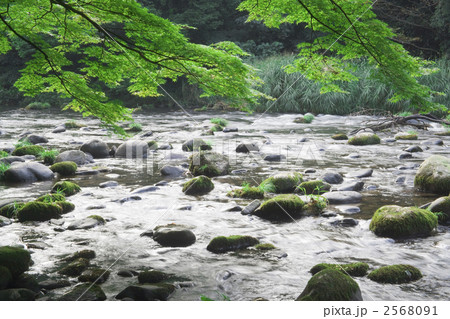 鶴仙渓 2568091