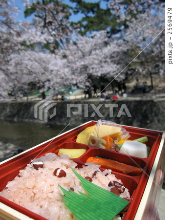 行楽弁当 2569479