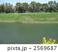 皇居のお堀端 2569687