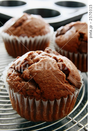 チョコマフィン チョコマフィン 2570315