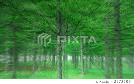 2572509