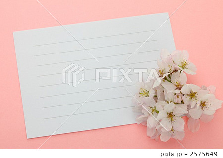 便箋と桜 2575649