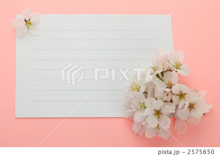 便箋と桜 便箋と桜 2575650