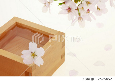 桜と日本酒 2575652