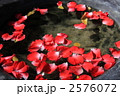 2576072