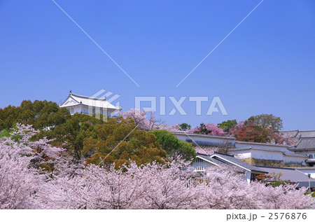 姫路城西の丸と桜 姫路城西の丸と桜 2576876