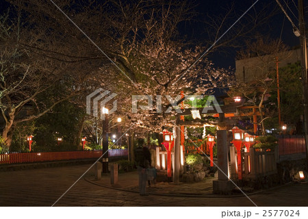 祇園白川宵桜　辰巳大明神 2577024