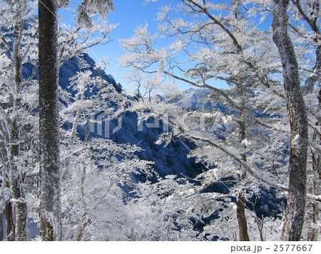 大峰山　大普賢岳の霧氷 2577667