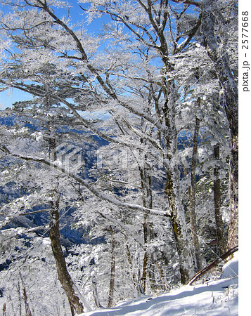 大峰山　大普賢岳の霧氷 2577668