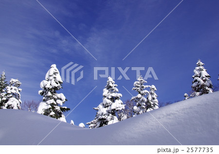 新穂高・雪の回廊 2577735