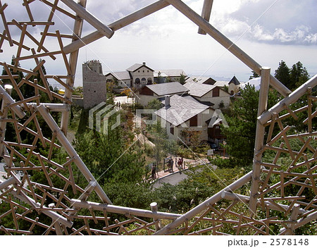 六甲枝垂れ 六甲枝垂れ 2578148