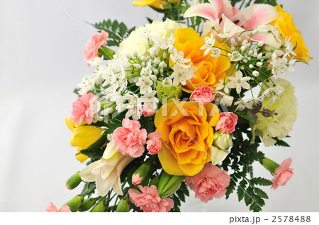 Diamond Arrengement Diamond Arrengement 2578488