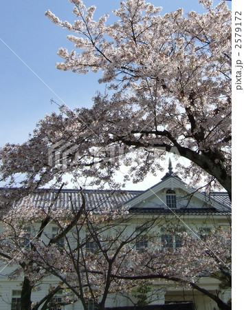 近江八幡の八幡小学校 2579172