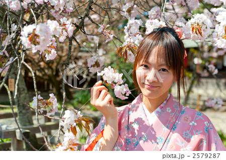 桜　着物　女性 2579287