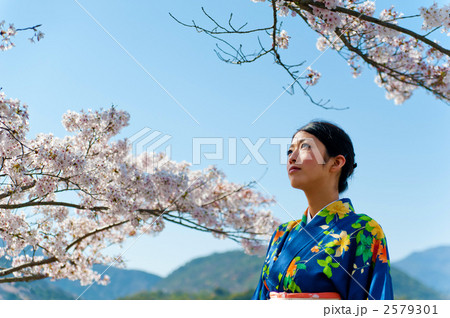 桜 着物 女性 桜 着物 女性 2579301