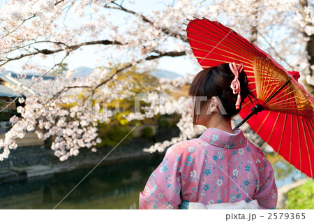 桜 着物 女性の写真素材