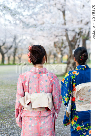 桜　着物　女性 2579370