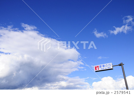 愛妻の丘 2579541