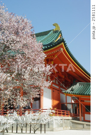 桜の平安神宮 2581111