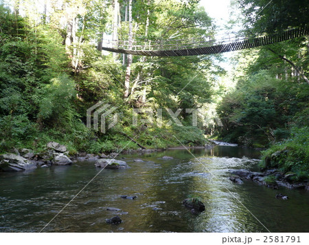 足羽川渓流のかずら橋 2581791