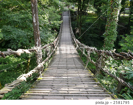 足羽川渓流のかずら橋正面 足羽川渓流のかずら橋正面 2581795