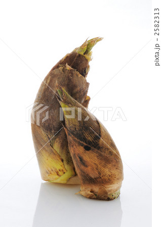 2個のタケノコ  2582313