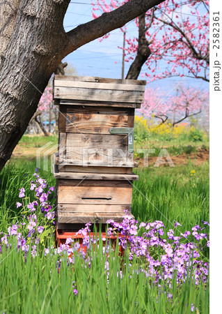 養蜂の巣箱 2582361