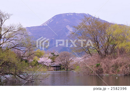 春 三島池より伊吹山を望む 春 三島池より伊吹山を望む 2582396