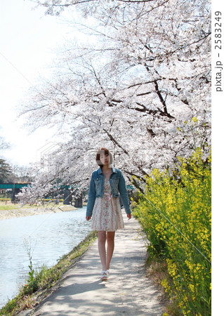 女性 春 桜 女性 春 桜 2583249