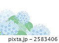 あじさい 2583406