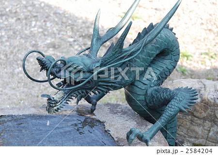 龍 龍 2584204