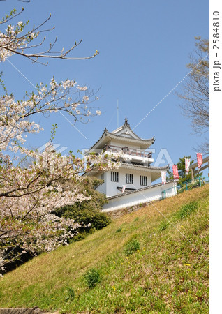 春の大野城址 2584810